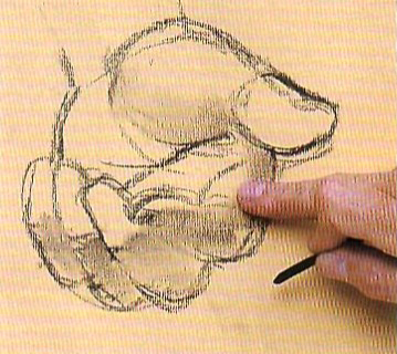 Пошаговый урок рисунка карандашом и пастелью ладони шаг 1