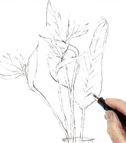 Рисуем цветок акварельными красками с размывками поэтапный урок - шаг 2