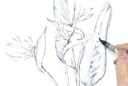 Рисуем цветок акварельными красками с размывками поэтапный урок - шаг 3
